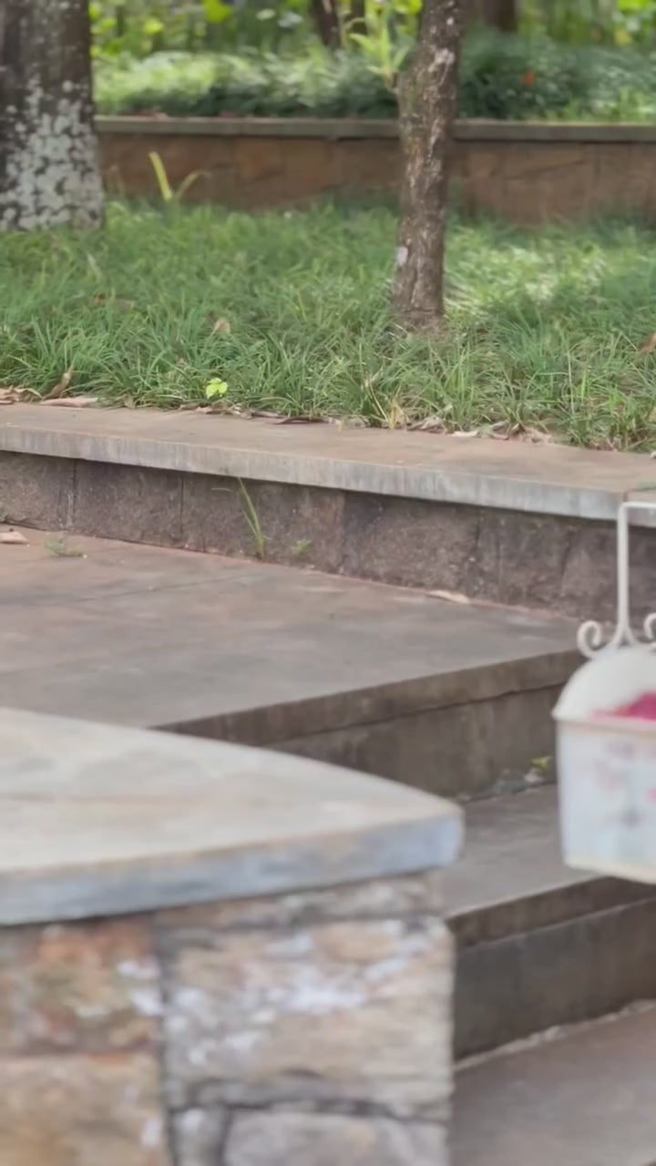 Load video: Bathislove instagram video 